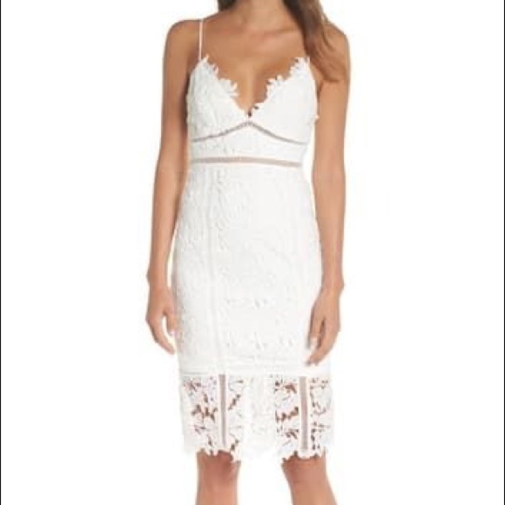 Bardot Botanica Lace Dress